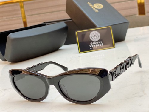 Top Sunglasses Brands For Men VERSACE FE44053 SV255