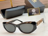 Top Sunglasses Brands For Men VERSACE FE44053 SV255