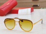 Cartier Sunglasses CR063