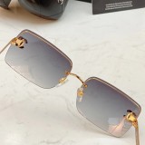 Sunglasses SCHA203