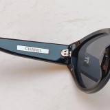 Sunglasses SCHA201