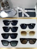 Sunglasses SCHA204