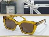 Sunglasses SCHA205