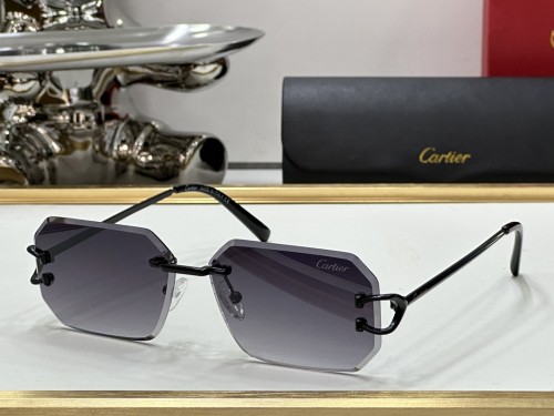 Designer sunglasses Cartier CR132