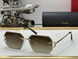 Cartier Sunglasses CR164