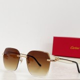 Cartier Sunglasses CR067