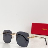 Cartier Sunglasses CR067