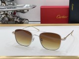 Cartier Sunglasses CR033