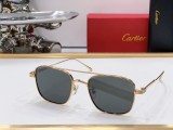 Cartier Sunglasses CR033