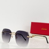 Cartier Sunglasses CR067