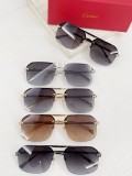 Cartier Sunglasses CR035