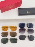 Cartier Sunglasses CT0230 CR158
