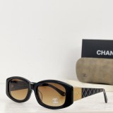 Branded sunglasses C74573S SCHA202