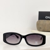 Branded sunglasses C74573S SCHA202