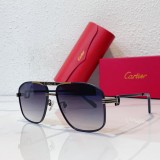 Sunglasses men Cartier CT0420S CR207