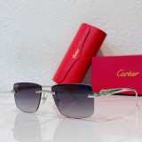 Mens sunglasses 2023 Cartier CT0058O CR209