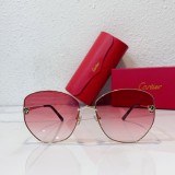 Sunglasses Women Cartier CT0400 CR208