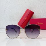 Sunglasses Women Cartier CT0400 CR208
