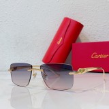 Mens sunglasses 2023 Cartier CT0058O CR209
