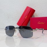 Mens sunglasses Leopard Cartier CT0281O CR211