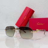 Mens sunglasses Leopard Cartier CT0281O CR211