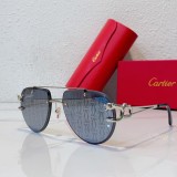 Sunglasses Aviator Cartier CT0415S CR213
