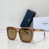 Polarized sunglasses brands CELINE CL40070 CLE079