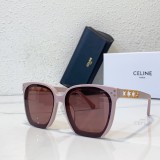 Polarized sunglasses brands CELINE CL40070 CLE079