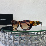 Sunglasses polarized CH5493 SCHA213