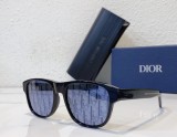 Dior Sunglasses Polarized DIOFLAG2E SC171