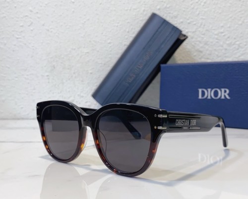 Top Sunglasses Brands In The World Dior DioSignature B4I SC172