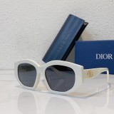 Buy Sunglasses Brands Hexagon Dior SC172