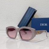 Buy Sunglasses Brands Hexagon Dior SC172
