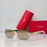 Wood Sunglasses Nylon Lenses Cartier CT0362S CR217