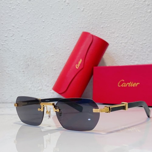 Wood Sunglasses Nylon Lenses Cartier CT0362S CR217