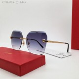 Counterfeit Sunglasses Cartier CT0147O CR218