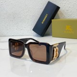 Burberry Sunglasses Faux SBE025