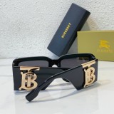 Burberry Sunglasses Faux SBE025