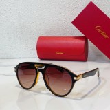 Cartier Sunglasses Online Rip-off CR109