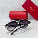 Cartier Sunglasses Online Rip-off CR109