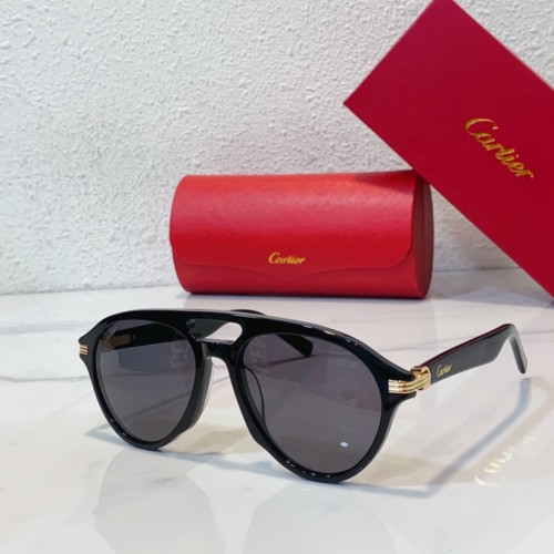 Cartier Sunglasses Online Rip-off CR109