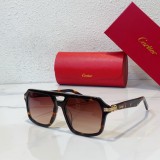 Designer Cartier Sunglasses CR083