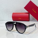 Cartier Sunglasses Online Rip-off CR109
