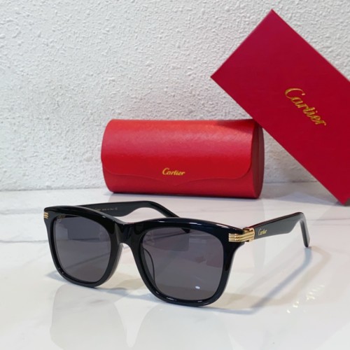 Cartier Sunglass Replica CR102