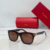 Cartier Sunglass Replica CR102