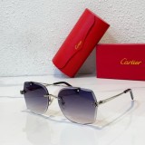 Cartier Sunglasses CR090