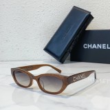 Polarized Sunglasses for women Imitation SCHA219