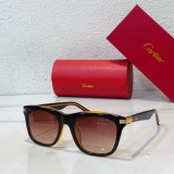 Cartier Economical Mirror Shade: Affordable Fashion with Unparalleled Style CR102