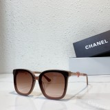 Chan sunglasses replica A95076