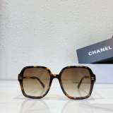 Chan sunglasses replica CH4577